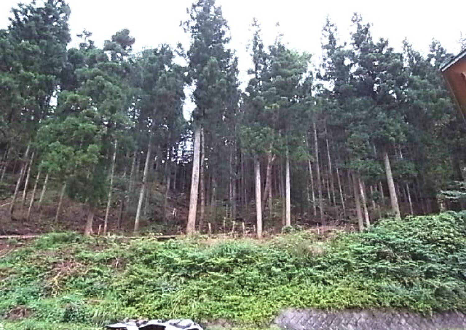 クラインガルテン