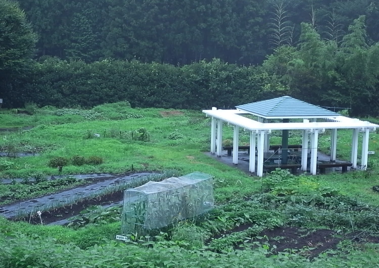 くらぶち村クラインガルテン