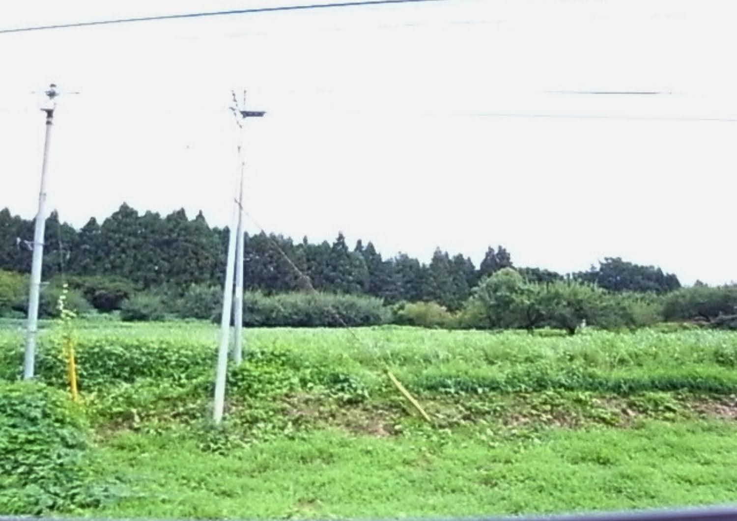 ぐるりん号の車窓から、畑