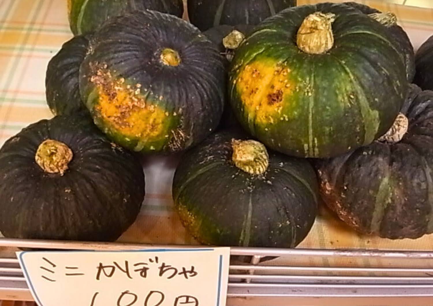 相間川温泉ふれあい館内・かぼちゃ大