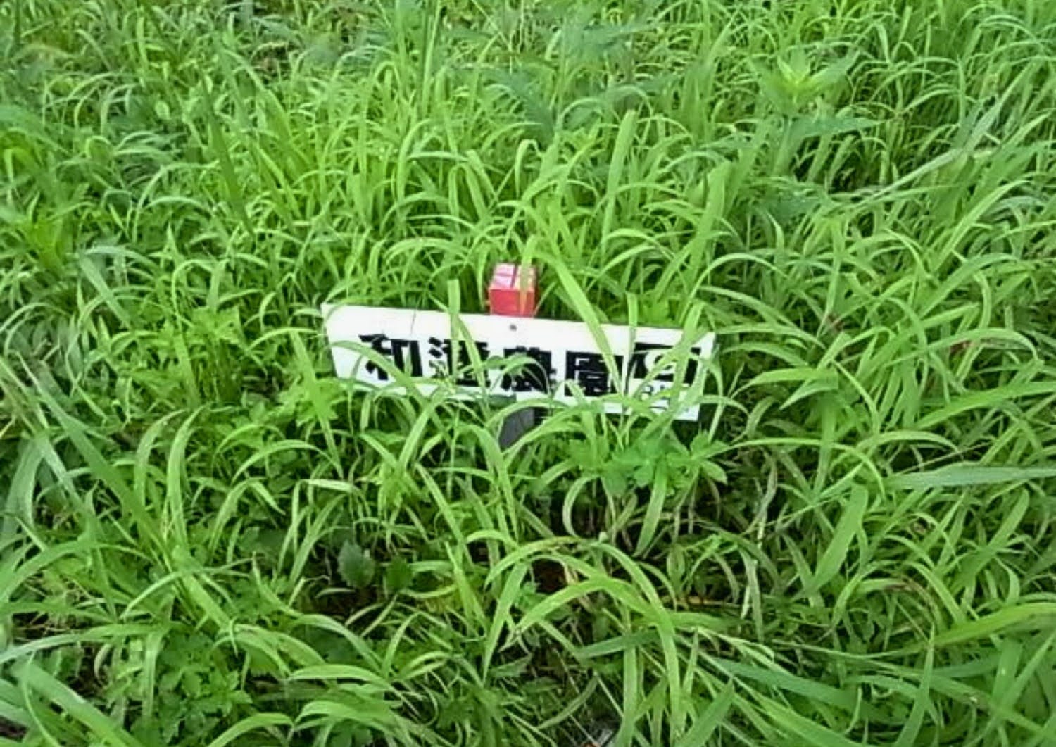 クラインガルテン