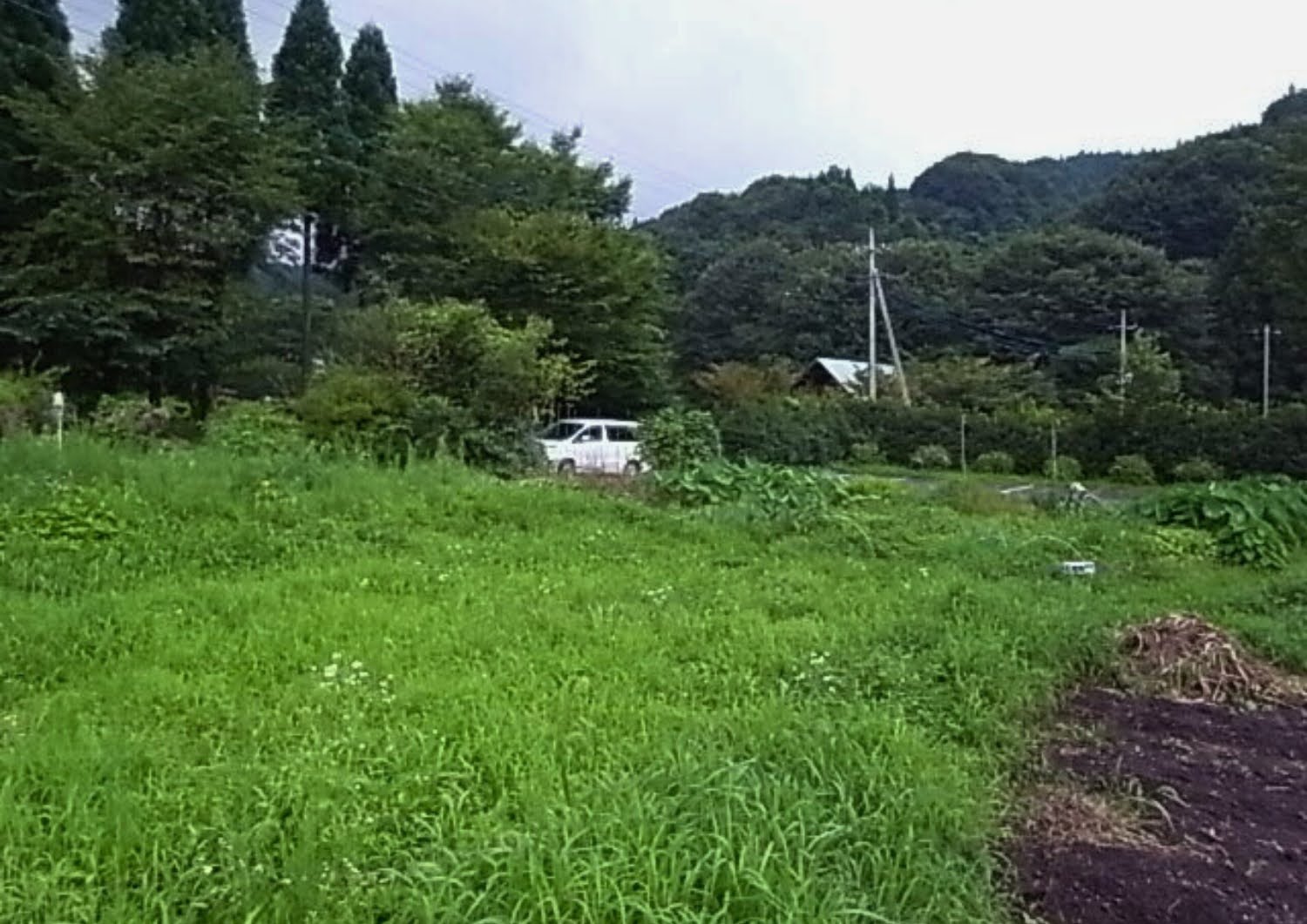 クラインガルテン