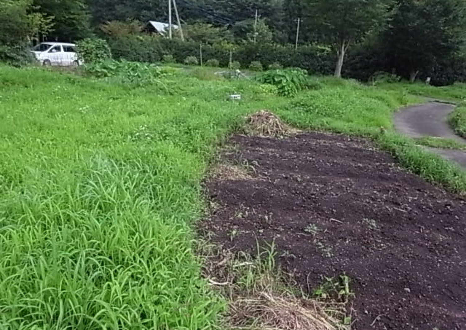 クラインガルテン