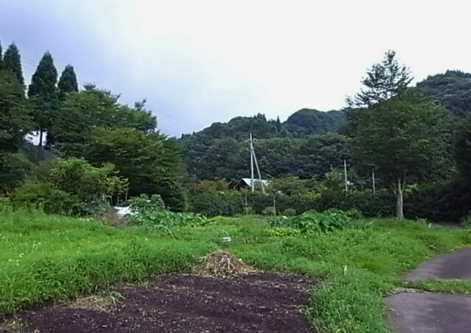 クラインガルテン