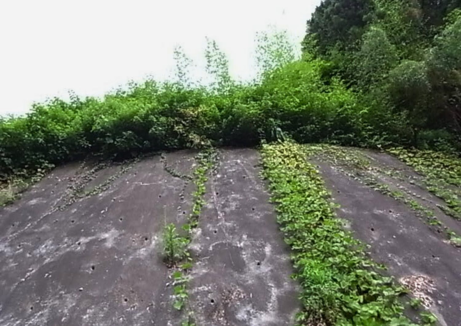クラインガルテン